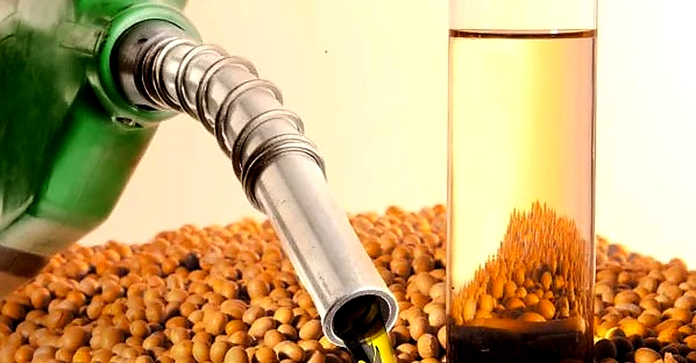 biodiesel