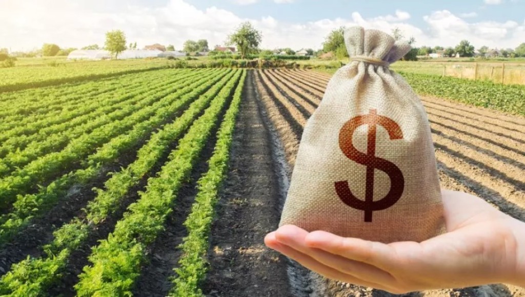 Alívio no Campo: Governo Federal propõe repactuação de R$ 8,2 bilhões em dívidas do setor agropecuário