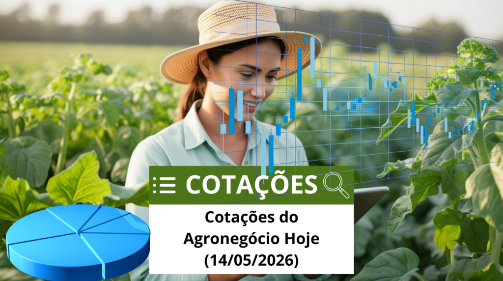 Cotações do Agronegócio Hoje (14/05/2026): Soja em Alta e Boi Gordo Estável Cotações do Agronegócio Hoje (14/05/2026): Soja em Alta e Boi Gordo Estável