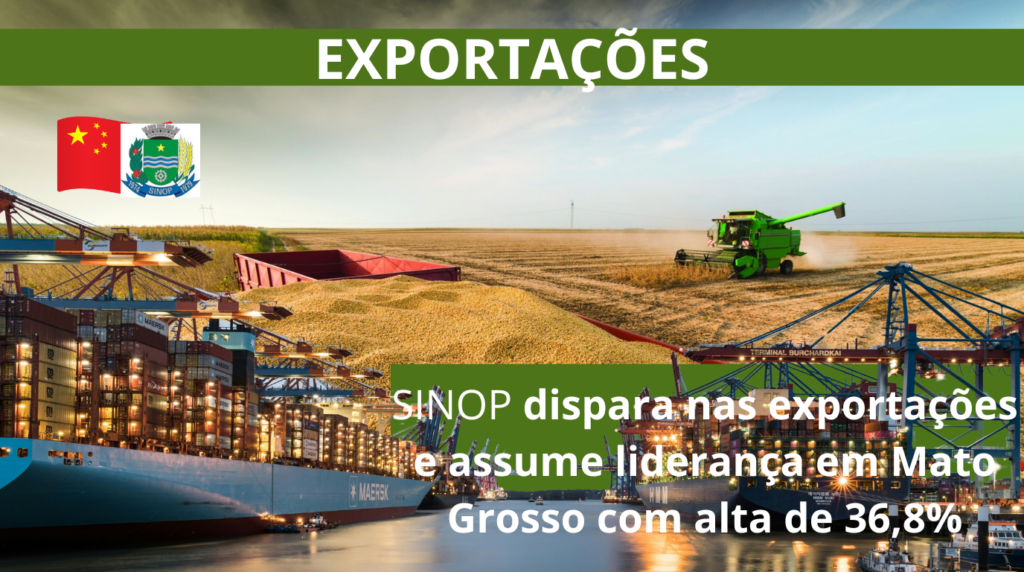 Sinop dispara nas exportações e assume liderança em Mato Grosso com alta de 36,8%