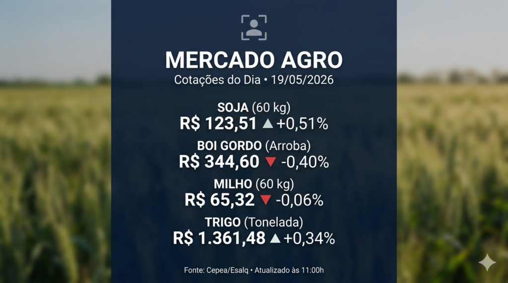 Preço da soja sobe em Mato Grosso e cotações do agronegócio movimentam mercado nesta terça-feira Preço da soja sobe em Mato Grosso e cotações do agronegócio movimentam mercado nesta terça-feira