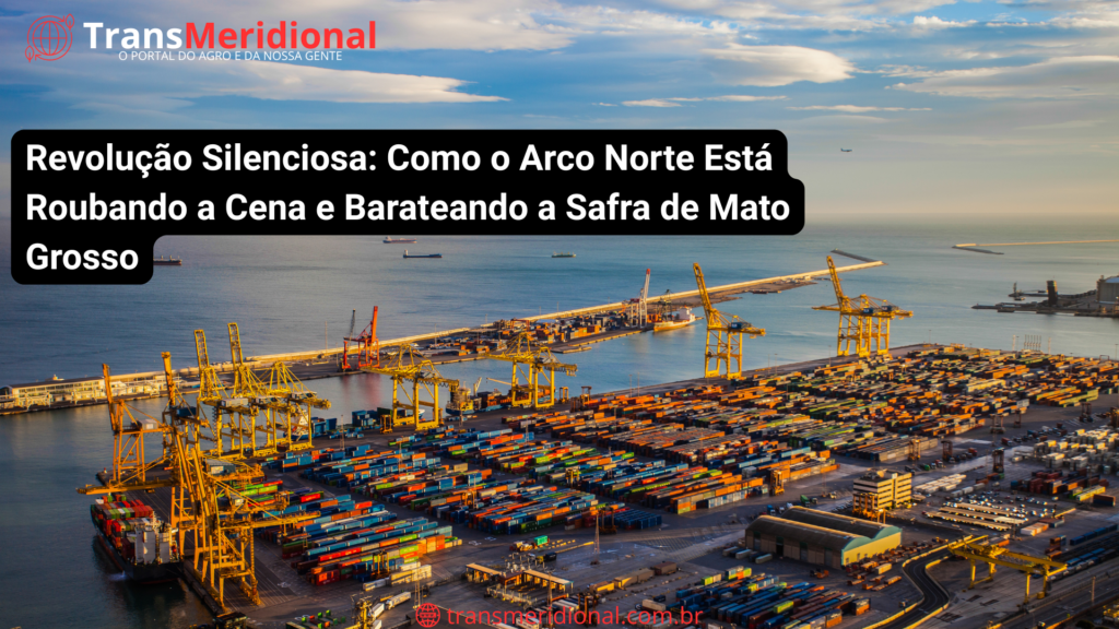 Revolução Silenciosa: Como o Arco Norte Está Roubando a Cena e Barateando a Safra de Mato Grosso