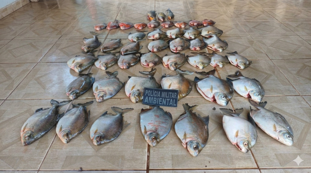 Peixes apreendidos espalhados pelo chão com distintivo do grupamento de Polícia Militar Ambiental no meio, em destaque.