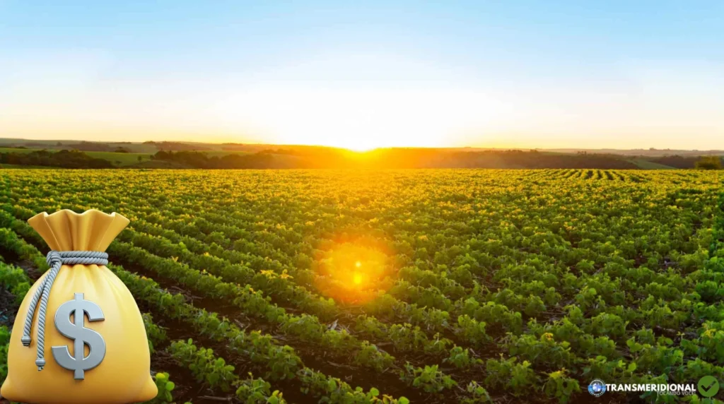 Sol nascendo ao fundo com raios dourados, lavoura de soja no plano principal e um saco com o simbolo do cifrão no canto inferior esquerdo.