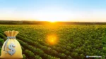 Agronegócio movimenta R$ 3 trilhões e reforça papel estratégico de Mato Grosso na economia brasileira Agronegócio movimenta R$ 3 trilhões e reforça papel estratégico de Mato Grosso na economia brasileira