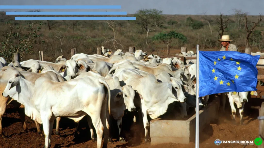 Regras da União Europeia para carne de MT: Impactos e rastreabilidade no Nortão