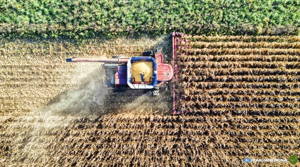 Brasil cai para a 65ª posição em competitividade global e amplia desafios para o agronegócio de Mato Grosso