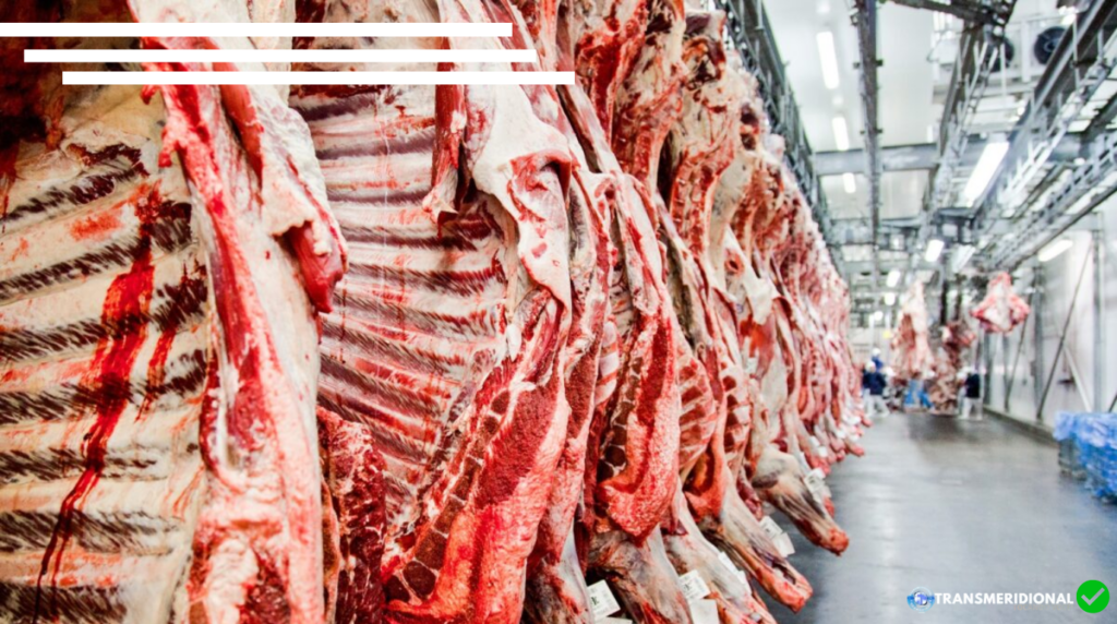 Bandas de carne bovina em tendal frigorífico, homens ao fundo, com roupas térmicas de frigorífico, as instalações são no estilo industrial.