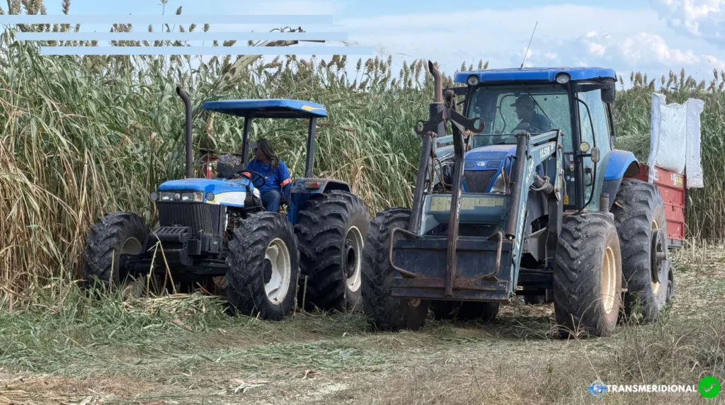 Produtividade no campo: Colíder atinge 610 atendimentos à agricultura familiar em 17 meses