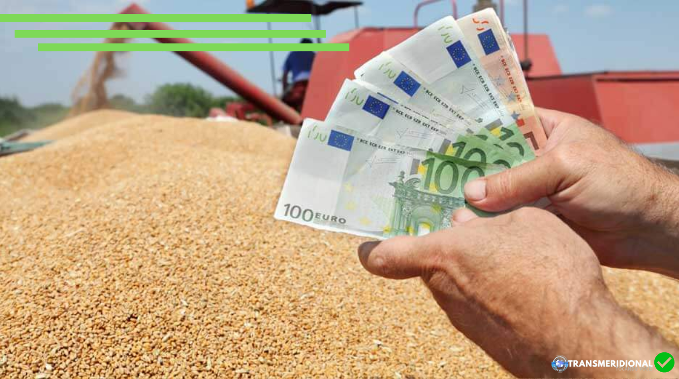 Brasil amplia lideran&ccedil;a mundial em commodities agr&iacute;colas e fortalece agroneg&oacute;cio