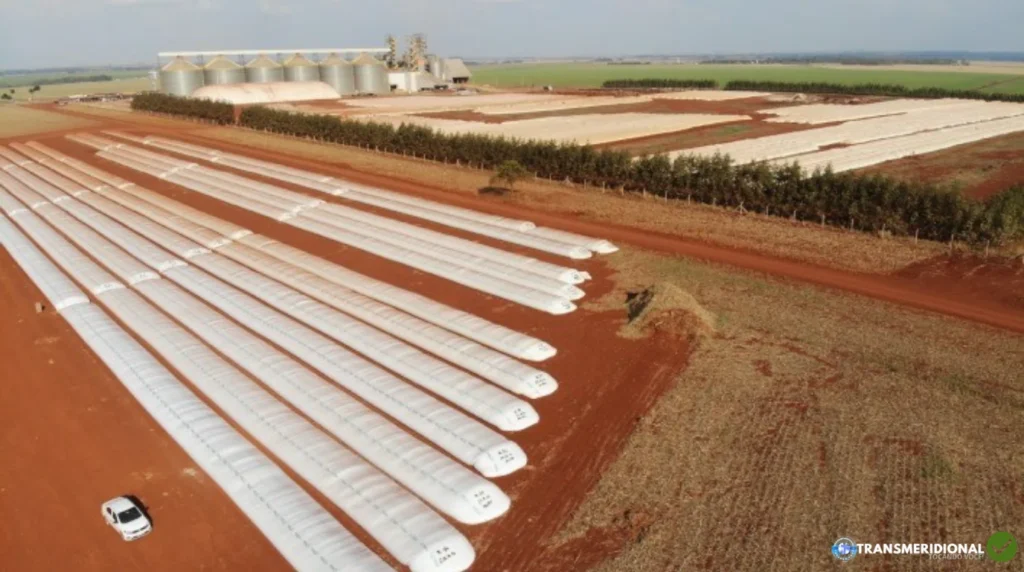 Déficit de Armazenagem em Mato Grosso Pressiona Produtores e Expõe Gargalo da Safra Recorde