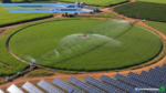 Energia solar avança no campo e reduz custos de produtores rurais
