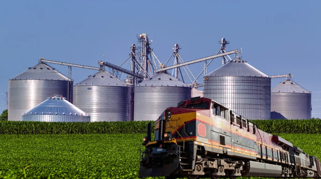 Trilhos, silos e estradas: a estratégia de Mato Grosso para competir apesar do cenário nacional