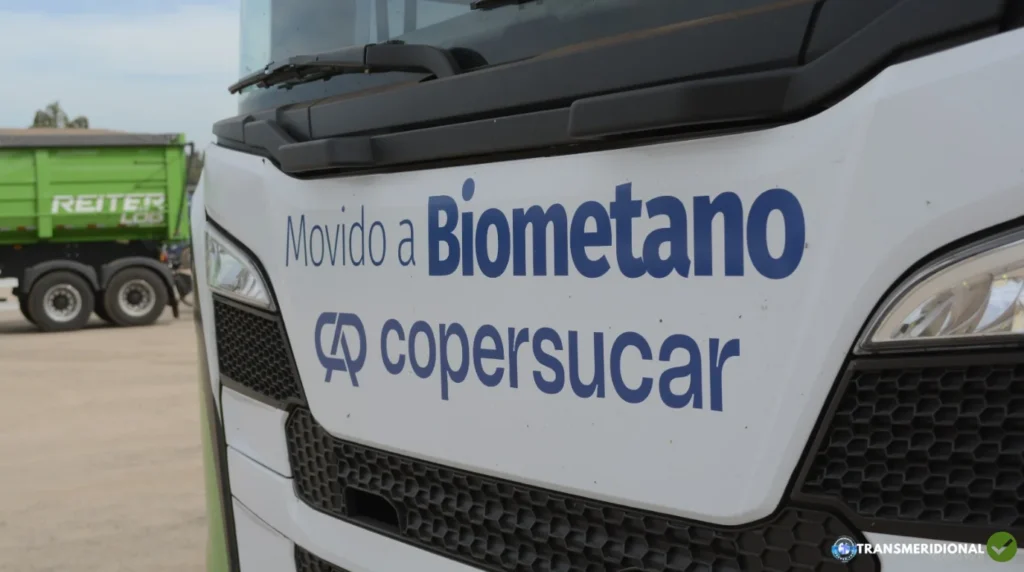 O que o lucro da Copersucar revela sobre o futuro da energia e da logística no agro brasileiro