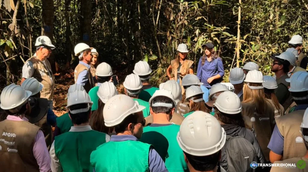 Monitoramento da Sema fortalece cadeia da madeira legal e preservação das florestas em Mato Grosso
