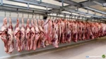 Mato Grosso lidera crescimento do abate bovino no Brasil e reforça protagonismo da cadeia da carne Mato Grosso lidera crescimento do abate bovino no Brasil e reforça protagonismo da cadeia da carne