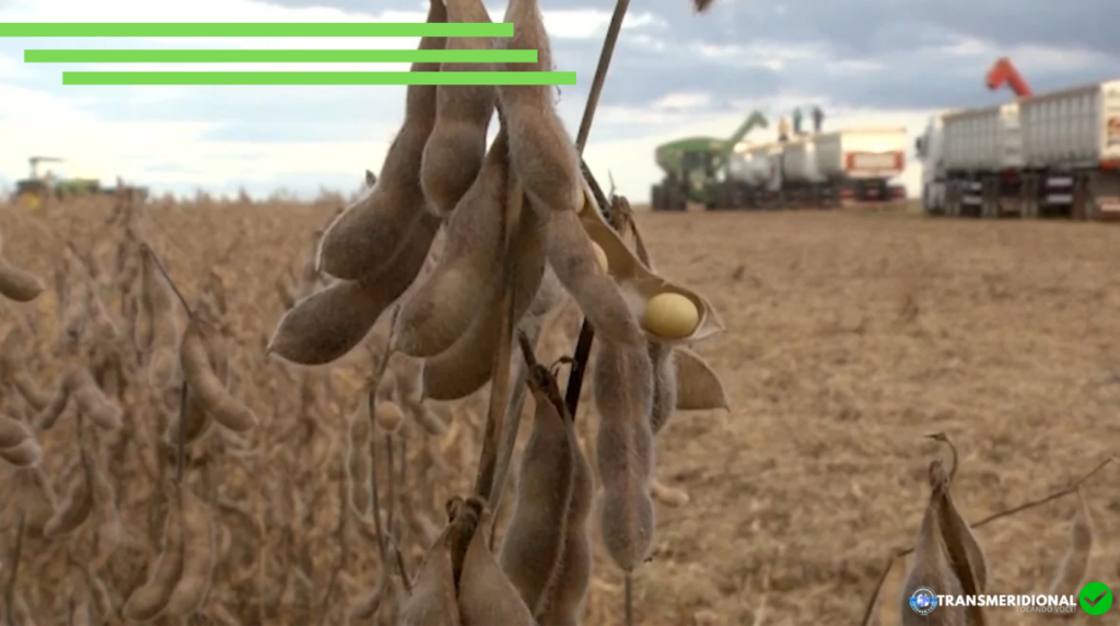 Lei de Mato Grosso entra em investigação dos EUA sobre tarifa de 25% aos produtos brasileiros
