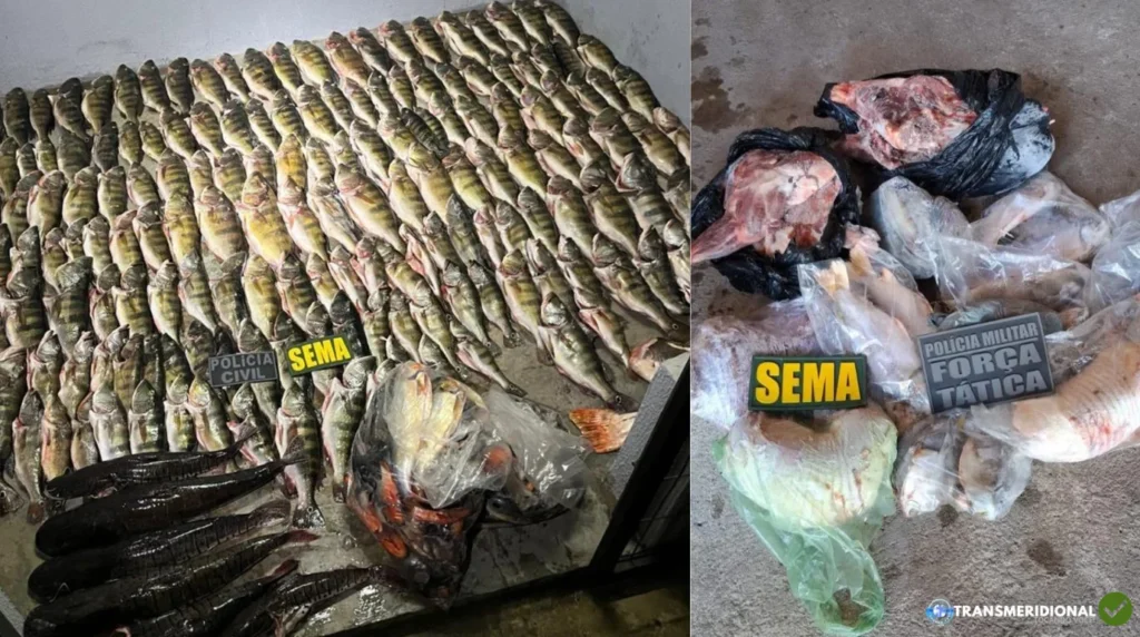 Sema apreende 184 peixes de captura proibida em Luciara e aplica mais de R$ 53 mil em multas
