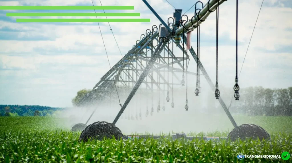 Nova regra amplia desconto na tarifa de energia para irrigação e aquicultura; veja o que muda para produtores rurais