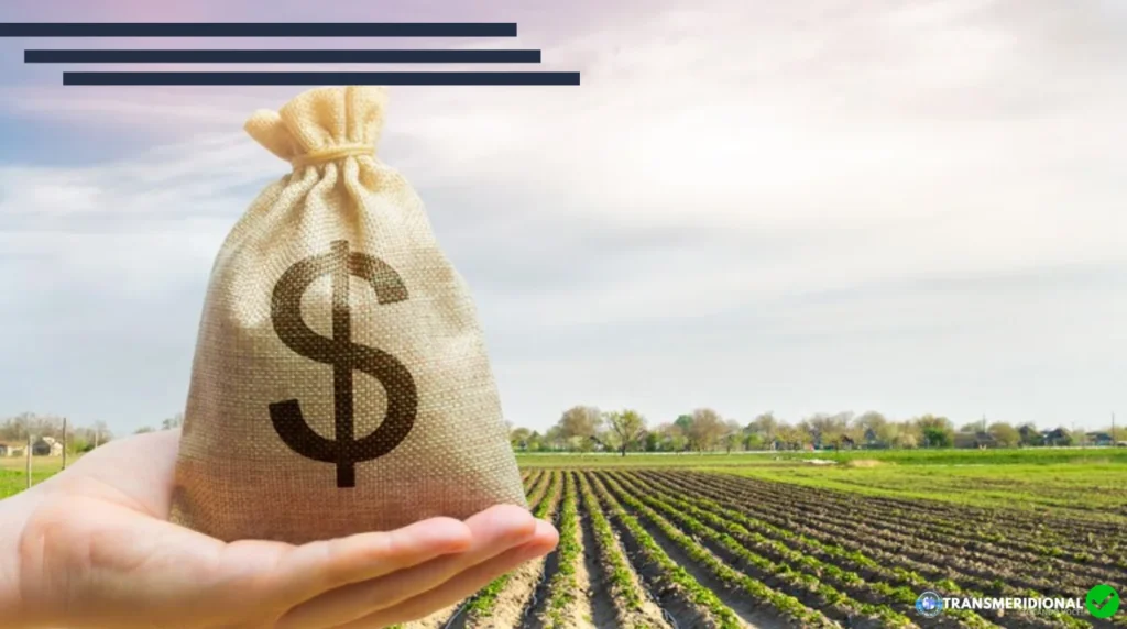 Plano Safra 2026/27 pode ficar R$ 120 bilhões abaixo do pedido do agro e preocupa produtores de Mato Grosso
