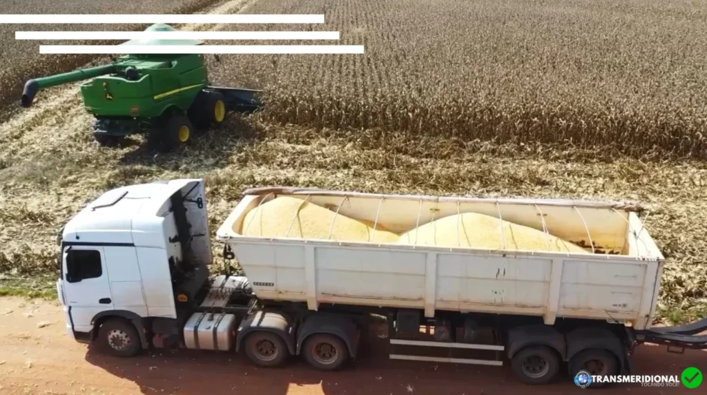 Produtores tentam repassar áreas arrendadas após pressão financeira no agro de Mato Grosso