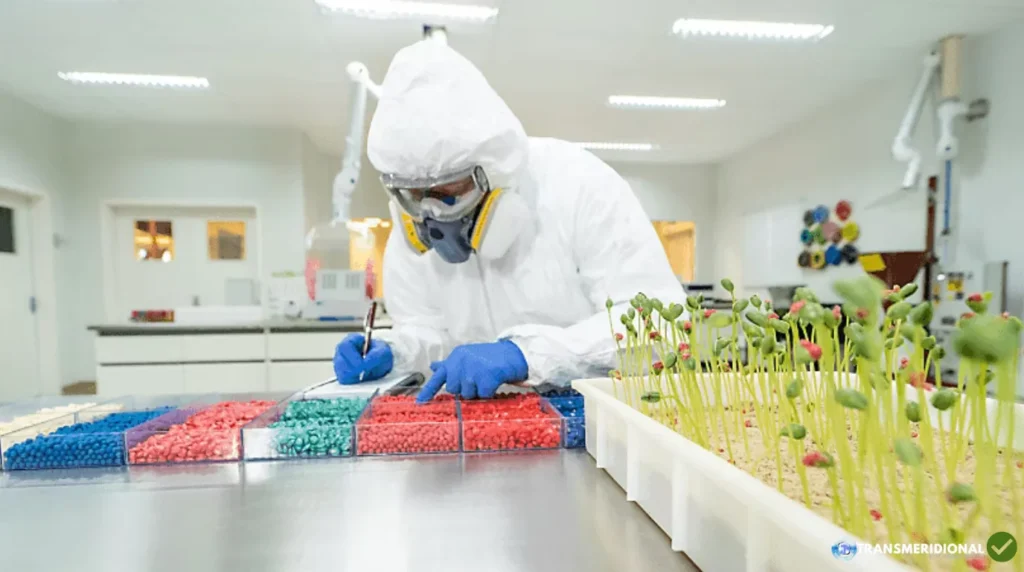 A riqueza do agro começa na semente: por que Mato Grosso se tornou referência em genética agrícola