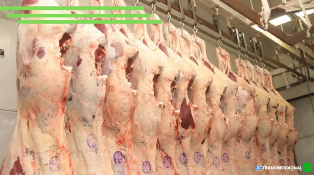 Alerta na Pecuária: União Europeia Oficializa Veto e Proíbe Compra de Carne do Brasil Alerta na Pecuária: União Europeia Oficializa Veto e Proíbe Compra de Carne do Brasil