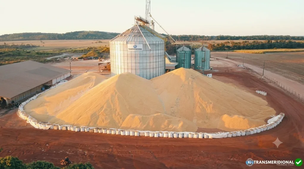 Safra recorde de 360 milhões de toneladas coloca Mato Grosso diante do maior dilema do agro: quem terá coragem de construir novos silos? Safra recorde de 360 milhões de toneladas coloca Mato Grosso diante do maior dilema do agro: quem terá coragem de construir novos silos?
