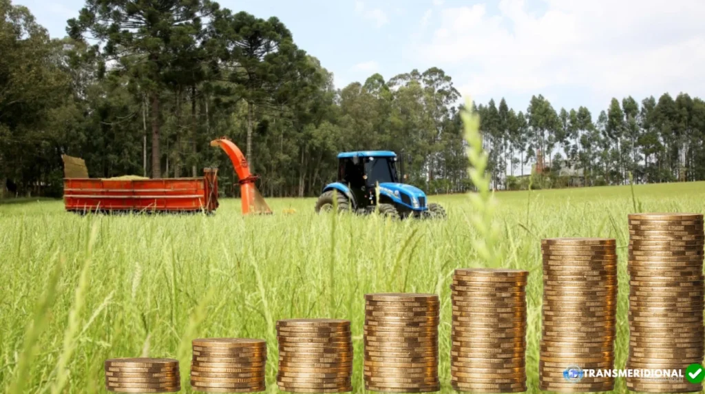 Fundo Garantidor pode destravar crédito para produtores do Norte de Mato Grosso, mas proposta ainda depende do Governo Federal
