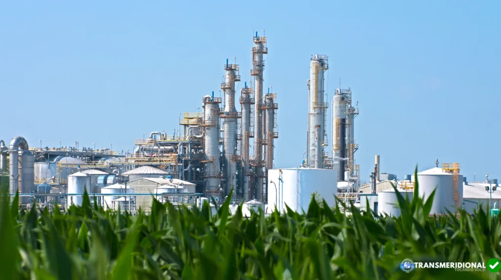 O paradoxo do etanol: por que preços em queda podem fortalecer Mato Grosso no mercado global