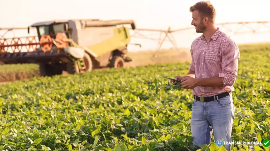 Reforma Tributária coloca sucessão rural no centro das decisões do agro; valorização das terras pode ampliar impacto do ITCMD em Mato Grosso