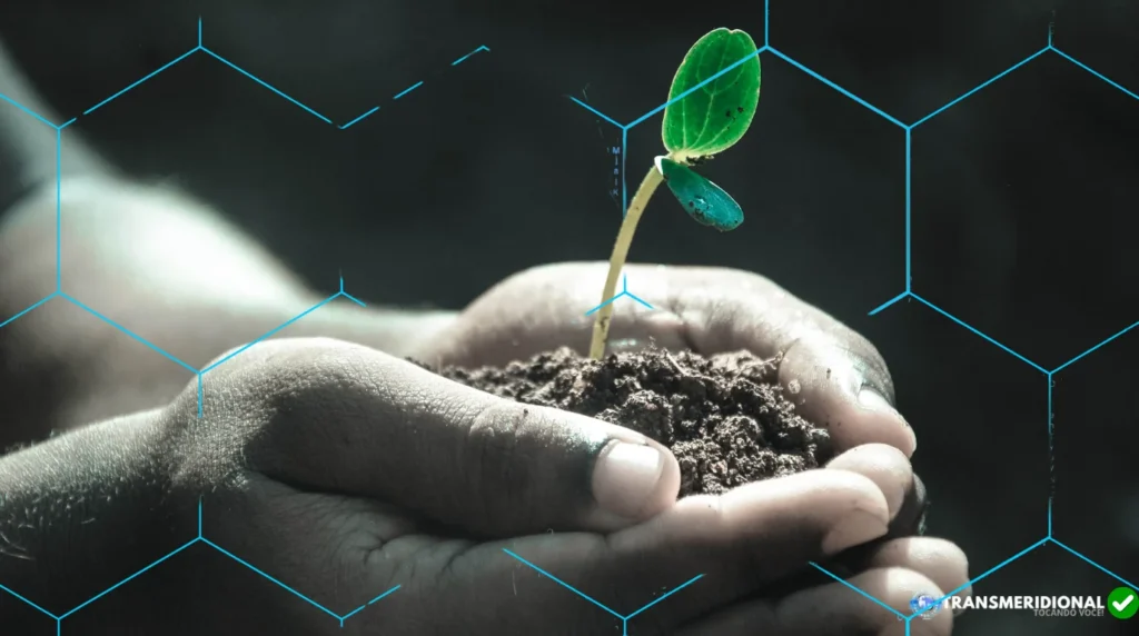 O agro brasileiro multiplicou sua produ&ccedil;&atilde;o em 50 anos. Agora come&ccedil;a uma transforma&ccedil;&atilde;o ainda maior