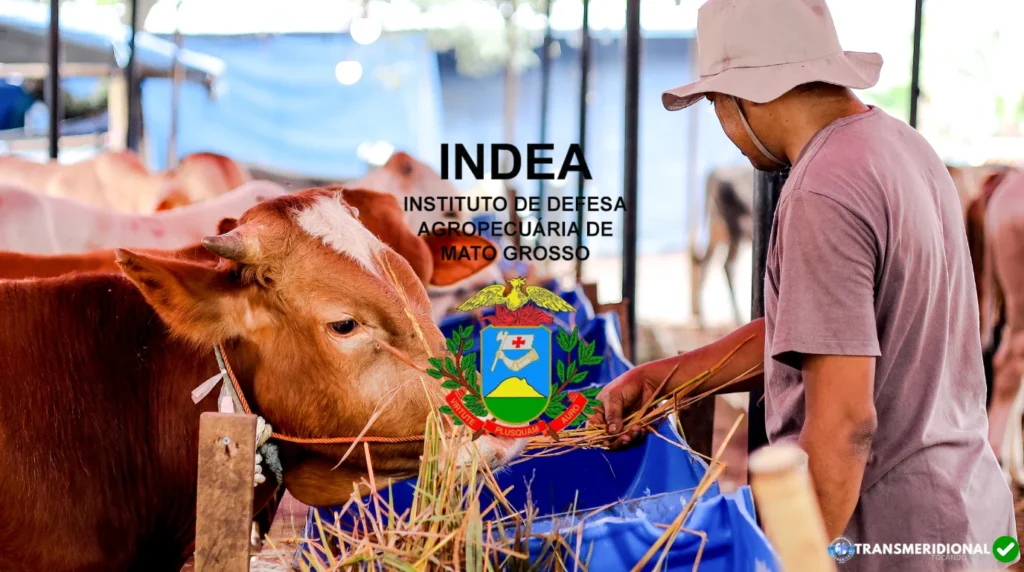 Sistema do INDEA ficará indisponível entre 6 e 10 de agosto; produtores devem antecipar emissão de documentos