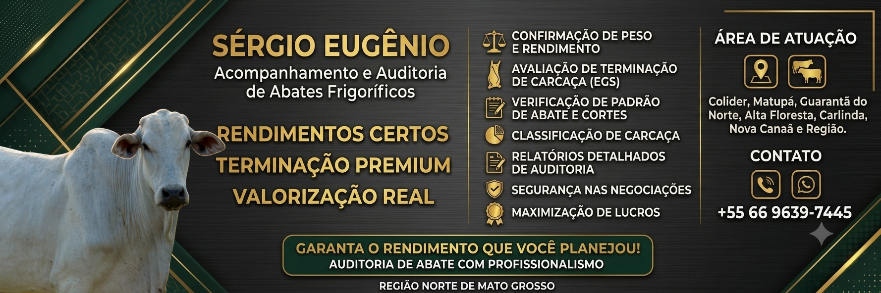 Sérgio Eugênio - Auditoria de Abate