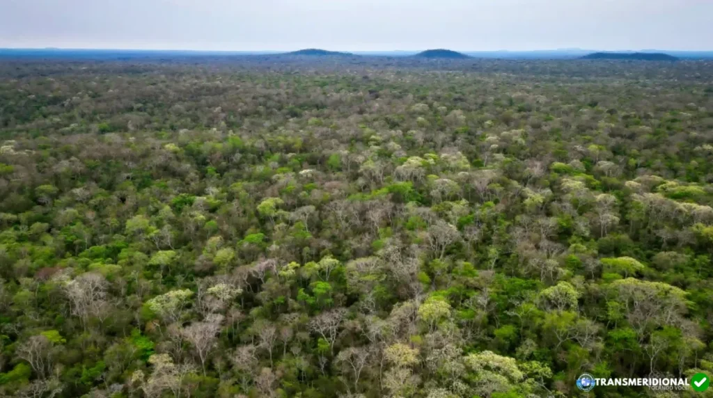 Do Paraguai à Bolívia: quando o capital do agro começa a procurar novas fronteiras