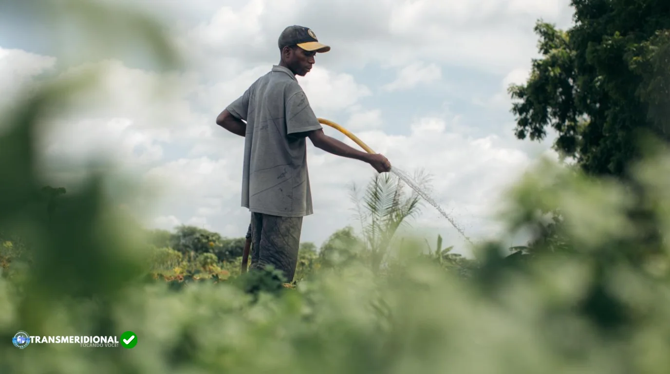Angola pode encurtar em uma década o caminho que Mato Grosso levou cinquenta anos para percorrer Angola pode encurtar em uma década o caminho que Mato Grosso levou cinquenta anos para percorrer