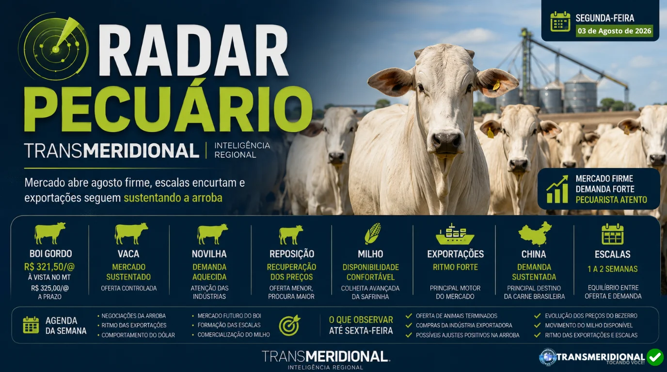 Mercado abre agosto firme, escalas encurtam e exportações seguem sustentando a arroba Mercado abre agosto firme, escalas encurtam e exportações seguem sustentando a arroba