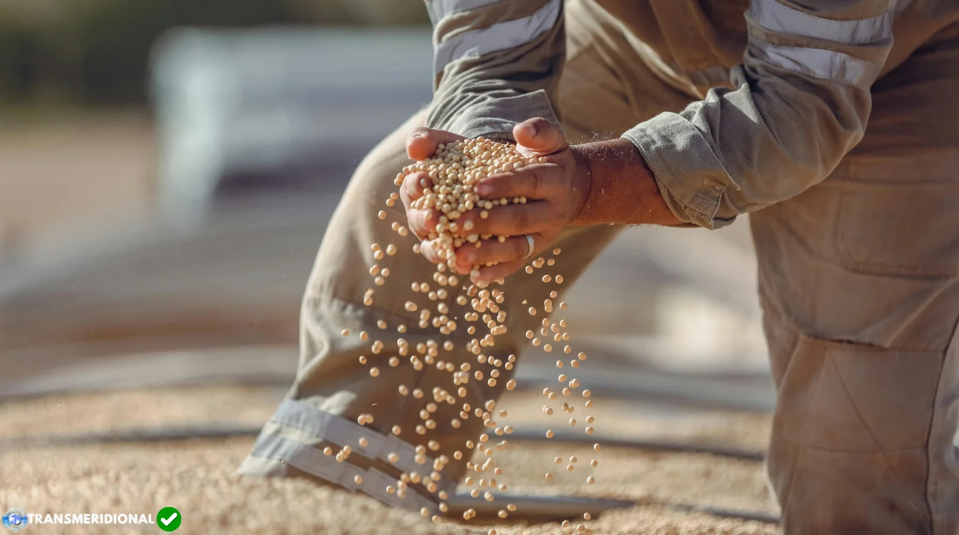 Safra recorde, caixa apertado: o agro brasileiro produz mais, mas enfrenta uma crise de liquidez Safra recorde, caixa apertado: o agro brasileiro produz mais, mas enfrenta uma crise de liquidez