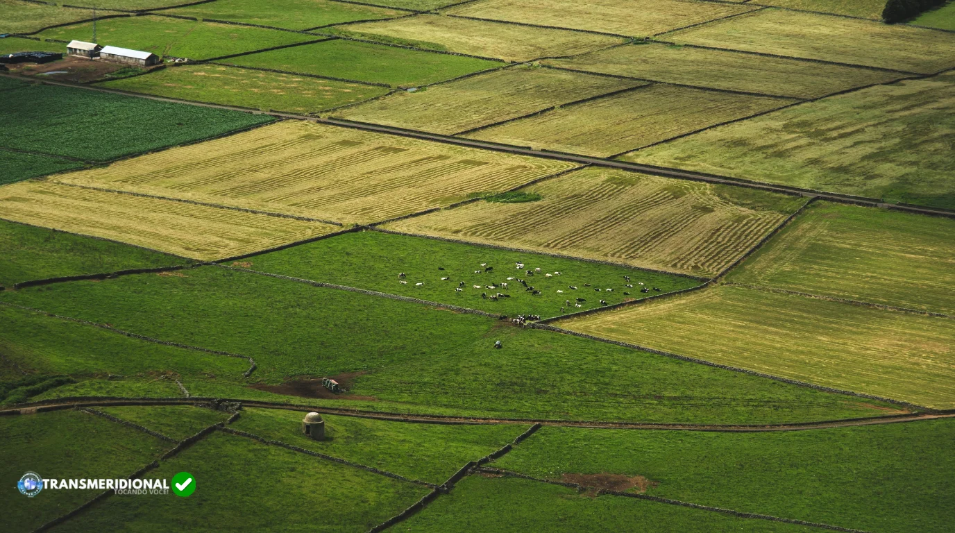 Imagem aérea de uma fazenda  style=
