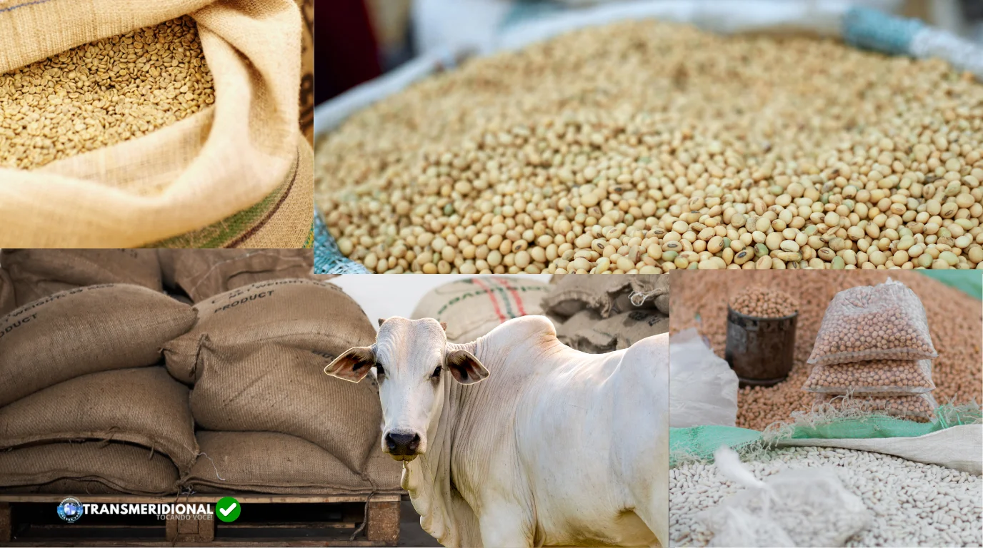 Commodities grãos boi style=
