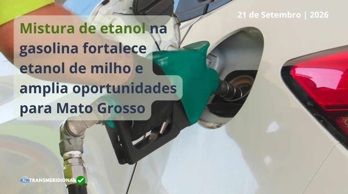 Etanol entra na disputa nacional, mas o impacto real pode estar nas usinas de milho de Mato Grosso