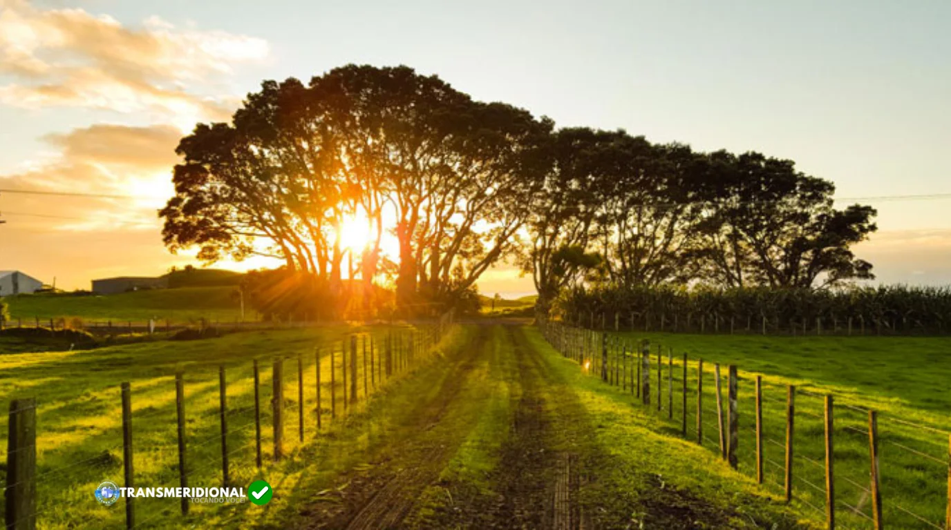 Senado aprova novo marco do seguro rural e decis&atilde;o pode ampliar prote&ccedil;&atilde;o ao produtor no Nort&atilde;o de Mato Grosso