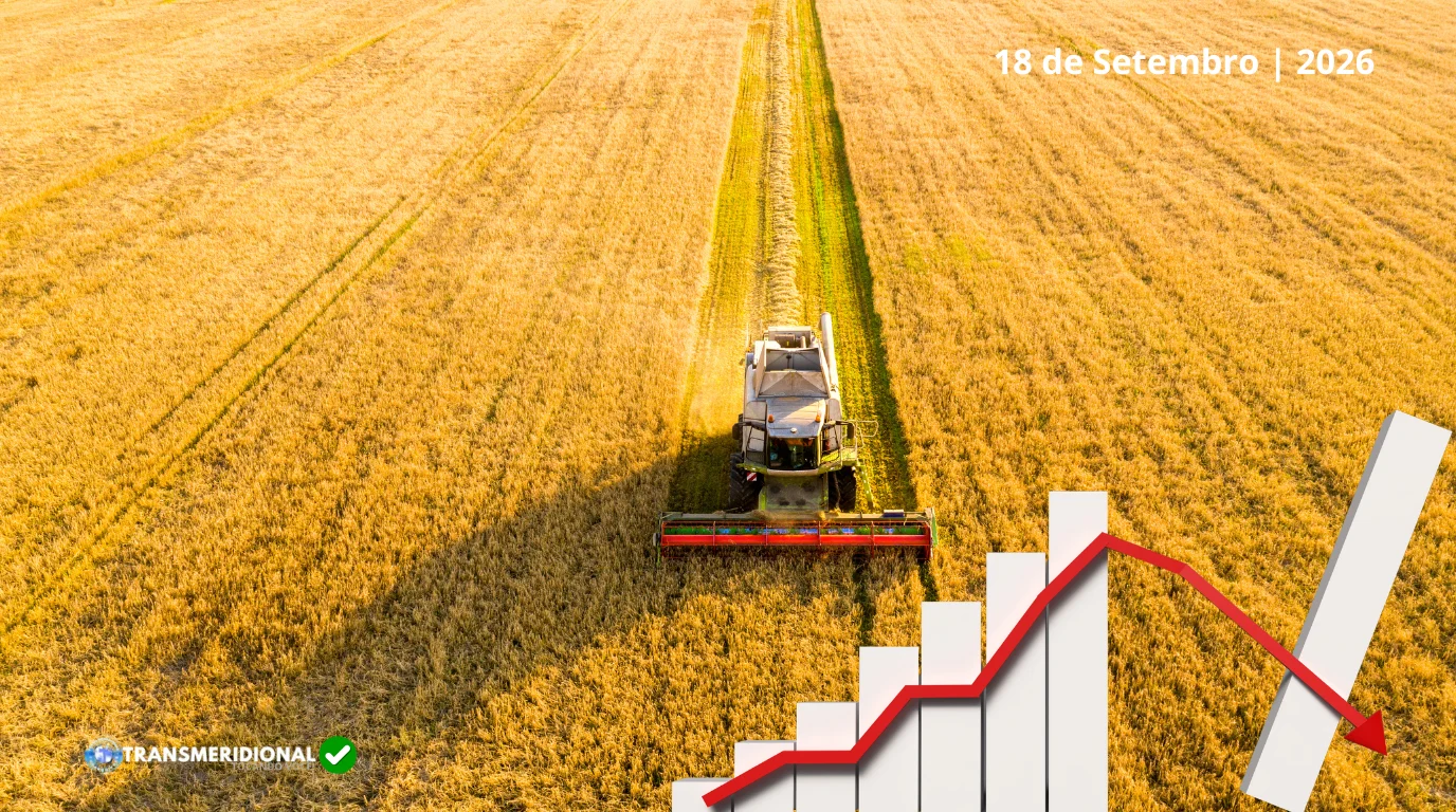 Produção global de grãos deve cair em 2026/27 e reforça importância estratégica de Mato Grosso