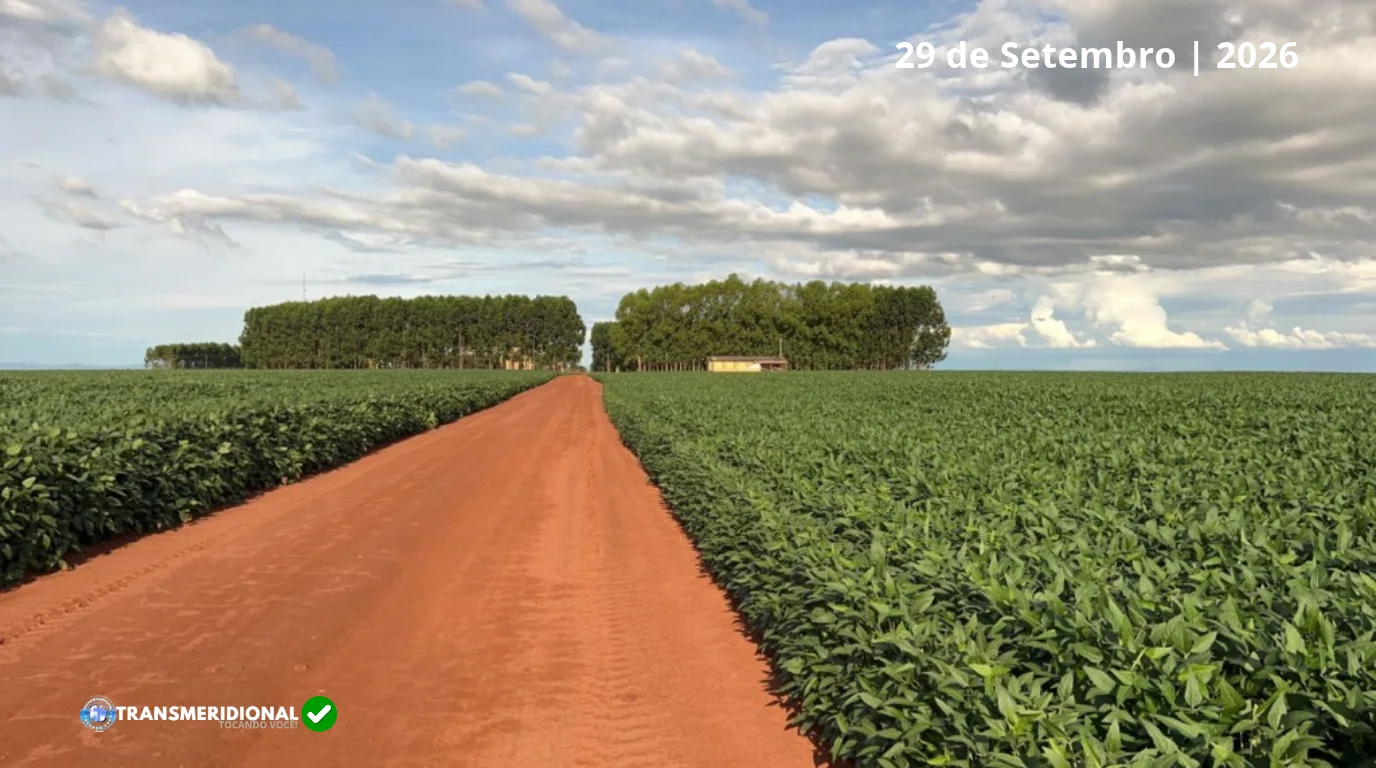 Seguro rural entra em nova fase: projeto que muda as regras chega ao último dia para sanção