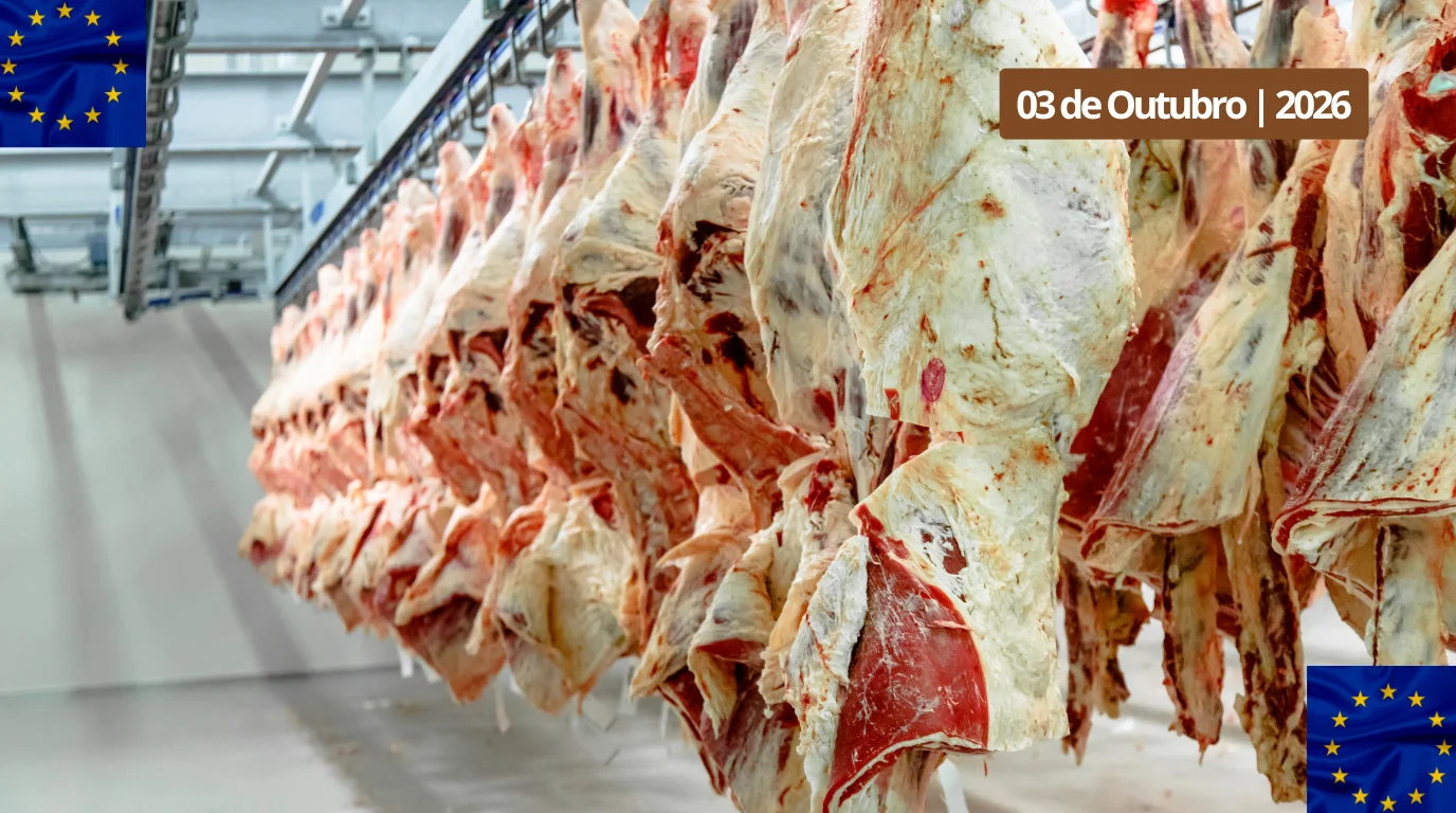 Carne bovina: frigoríficos rejeitam espera de dois anos e pressionam por transição na UE